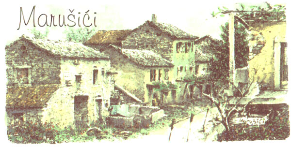 Marusici